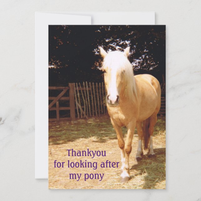 Danke, dass du dich um meine Pony-Karte gekümmert  Dankeskarte (Vorderseite)