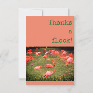 Danke einer Herde! Flamingo Danke-Karte
