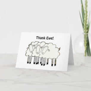 Danke "Ewe!"