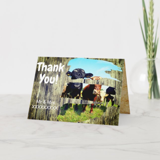 Danke Farm (Vorderseite)