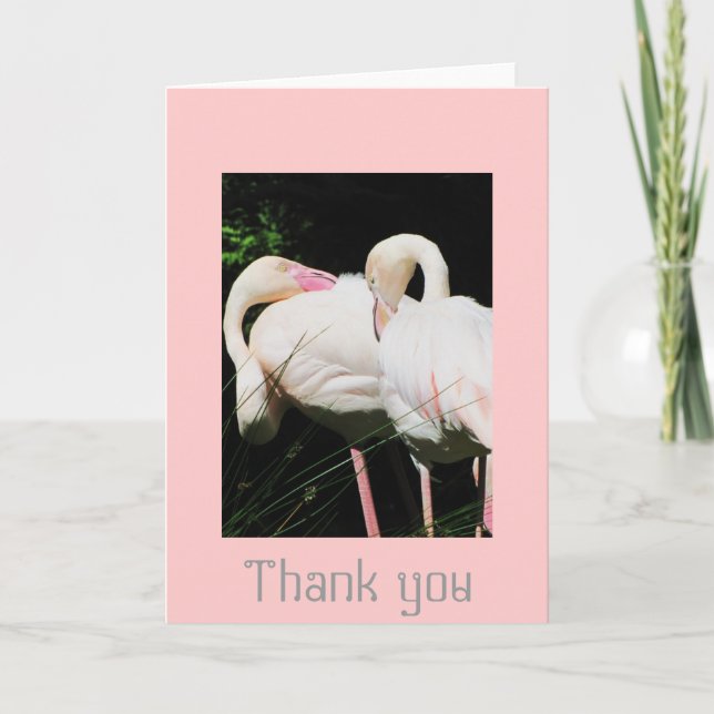 Danke Flamingovogel-Grußkarte (Vorderseite)