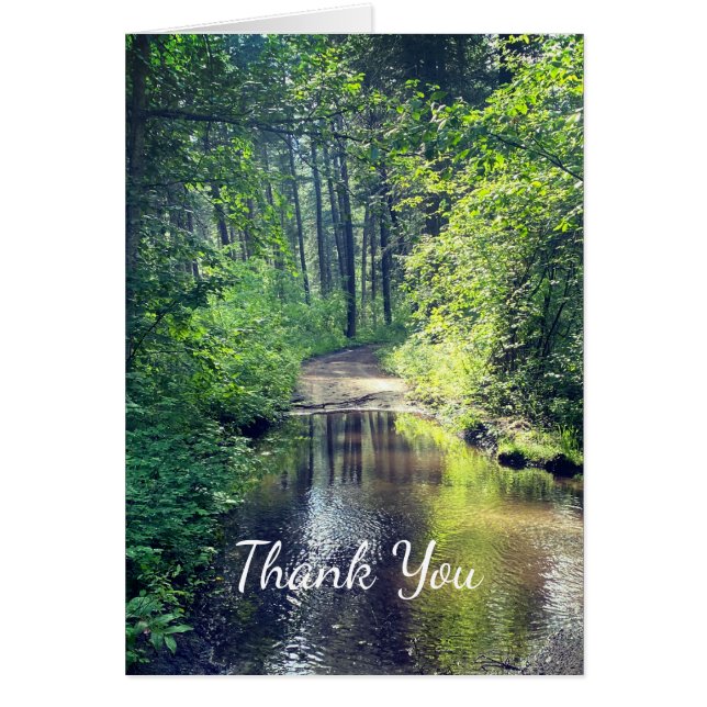 Danke, Forest Lake Wilderness Friedliche Szene (Vorne)