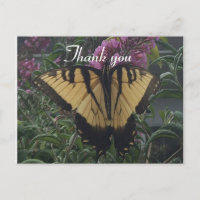 Danke Foto Gelb und Schwarzer Schmetterling