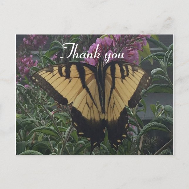 Danke Foto Gelb und Schwarzer Schmetterling Postkarte (Vorderseite)