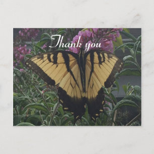 Danke Foto Gelbe und schwarze Schmetterling Postkarte