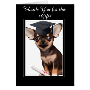 Danke für die Abschluss-Geschenkkarte Chihuahua