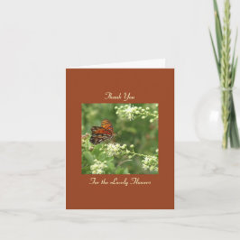 Danke für die Blume, Orange Butterfly