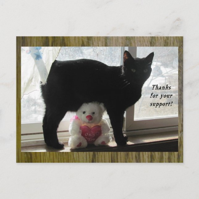 Danke für die Unterstützung der schwarzen Katze un Postkarte (Vorderseite)