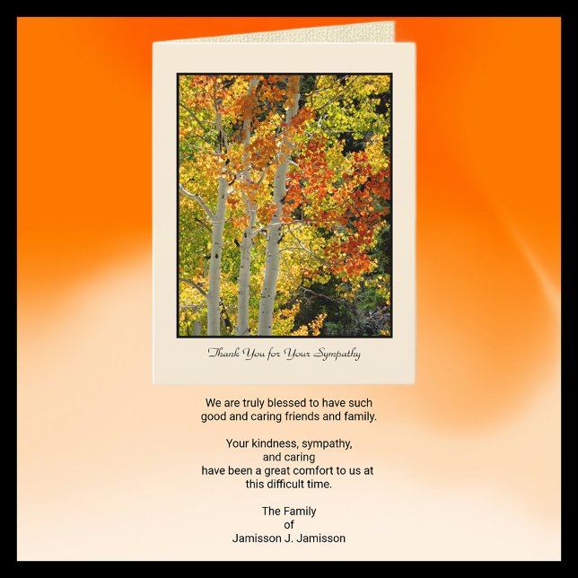 Danke für Ihr Beileid, Drei Aspekte (Von Creator hochgeladen)