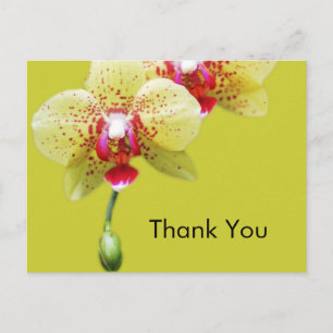 Danke, gelbe orchid Blume Postkarte