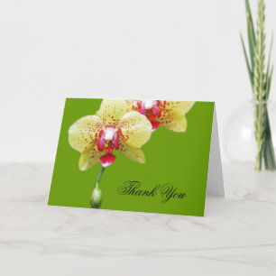 Danke, gelbe Orchideenblumen Dankeskarte