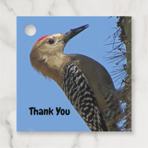 Danke Gila Woodpecker Foto Bird Aufwertung Geschenkanhänger