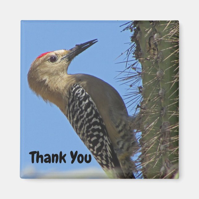 Danke Gila Woodpecker Foto Southwest Bird Magnet (Vorne)