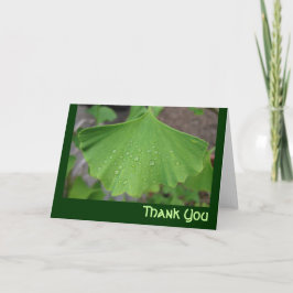 Danke, - ginko biloba zu kardieren dankeskarte