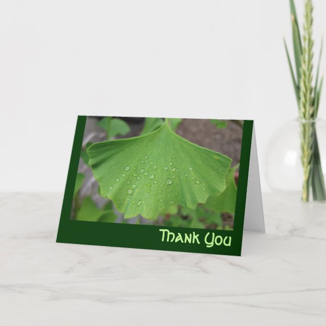 Danke, - ginko biloba zu kardieren dankeskarte (Vorderseite)