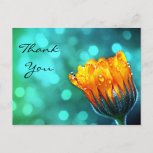 Danke, Golden Marigold über Aquamarin Bokeh Postkarte
