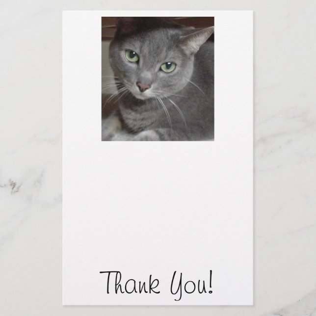 Danke/Graue Katze Briefpapier (Vorderseite)