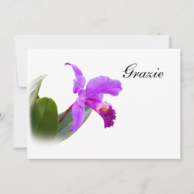 Danke, Grazie, Italienisch, Orchid Card Mitteilungskarte (Vorderseite)