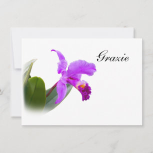 Danke, Grazie, Italienisch, Orchid Card Mitteilungskarte