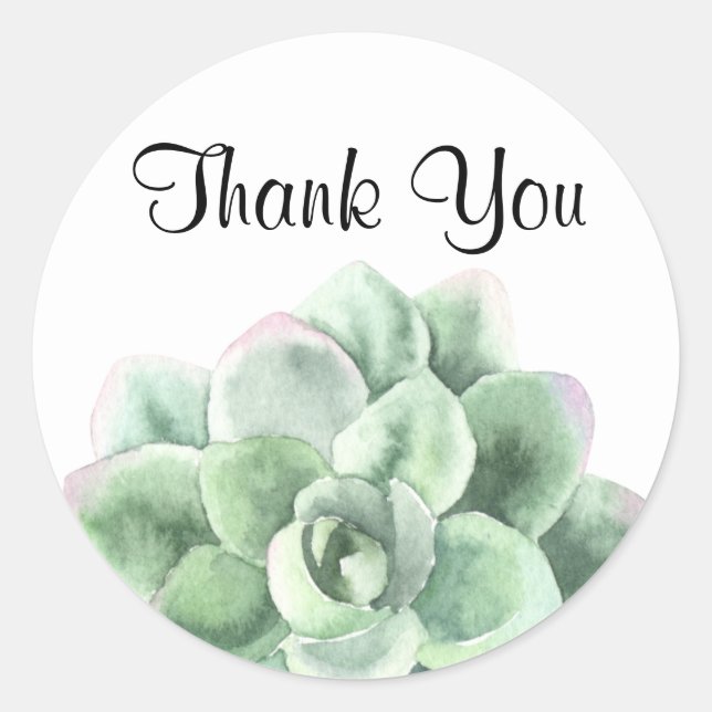 Danke, Green Echeveria Sukkulente Pflanze Runder Aufkleber (Vorderseite)