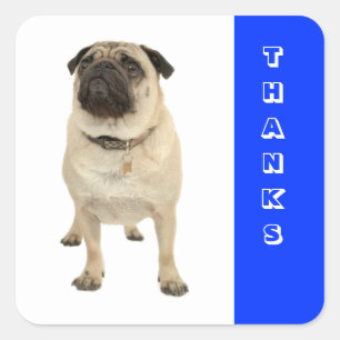 Danke Gruß Pug Welpen Hund Aufkleber