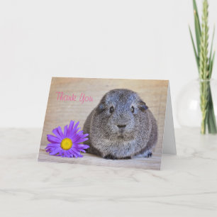 Danke Guinea Pig Card Genera Daisy