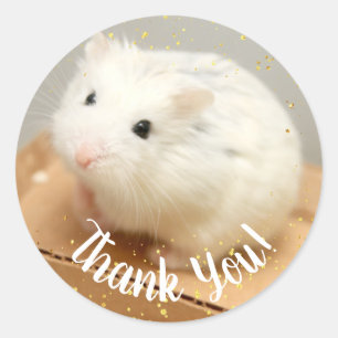 Danke - Hammyville White Hamster Square Stick Runder Aufkleber