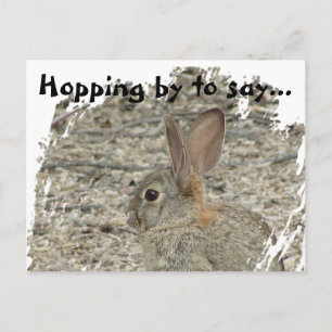 Danke Hase Foto Vielzweck-Würdigung Postkarte