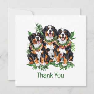 Danke Hawaiian Berner Sennenhunde