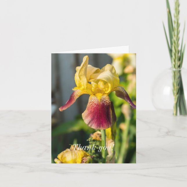 Danke - Heirloom Iris (Vorderseite)