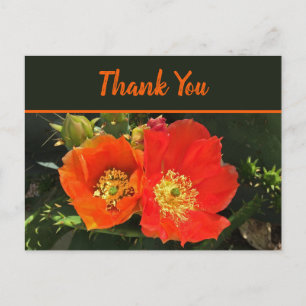 Danke, helle Wüstenblüte Foto Kaktus Blume Postkarte