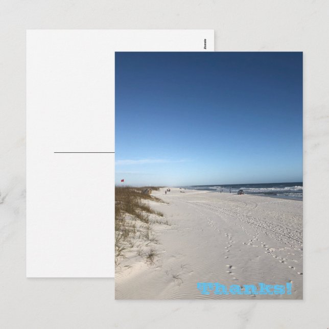 Danke Holiday Postcard Feiertagspostkarte (Vorne/Hinten)