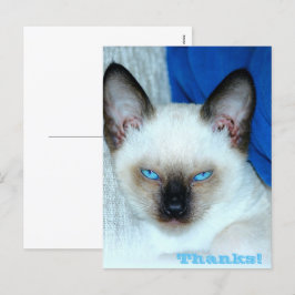 Danke Holiday Postcard Feiertagspostkarte