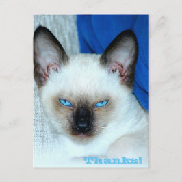 Danke Holiday Postcard Feiertagspostkarte