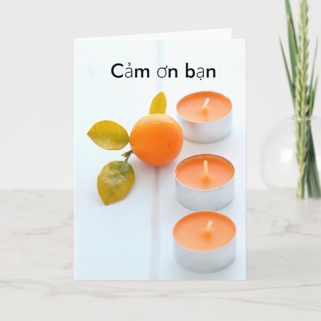 Danke in Vietnam (Vorderseite)