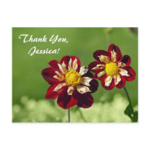 Danke, Jessica! Postkarte