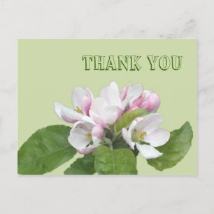Danke Karte, Apfel-Blume Postkarte