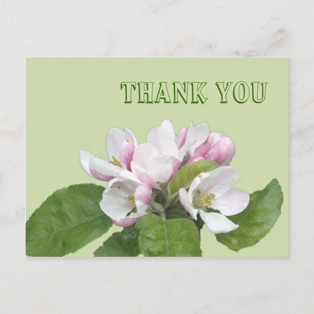 Danke Karte, Apfel-Blume Postkarte (Vorderseite)