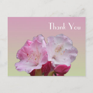 Danke Karte, rosa Rhododendron Blume Postkarte