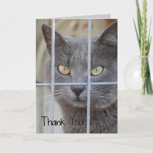 Danke! Katze Dankeskarte
