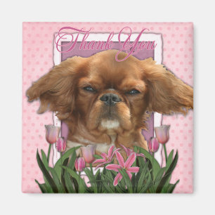 Danke - König Charles Cavalier - Rubin Magnet