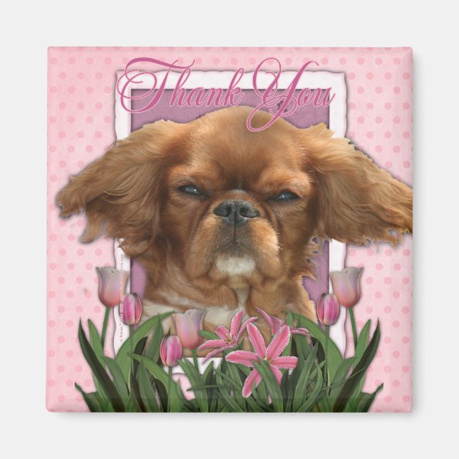 Danke - König Charles Cavalier - Ruby Magnet (Vorne)