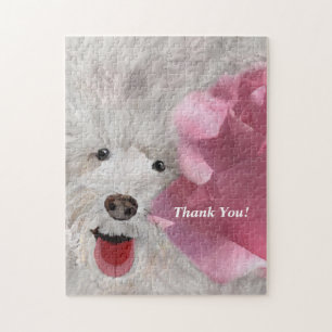 Danke Labradoodle und Rose