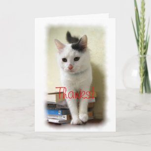 Danke, Lehrer, Kitten on Books Card Dankeskarte