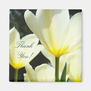Danke! Magnet Gelbe Weiße Tulpen Blumen Chef