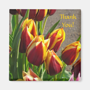 Danke! Magnet Rot-Gelb-Tulip-Garten-Blume