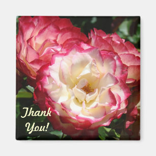Danke! Magnetgeschenke Rosa Blume Magnet