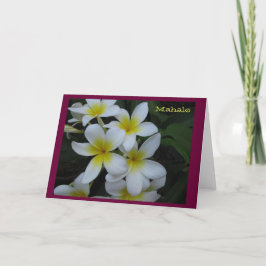 Danke (Mahalo) - weiße Plumeriakaskade zu