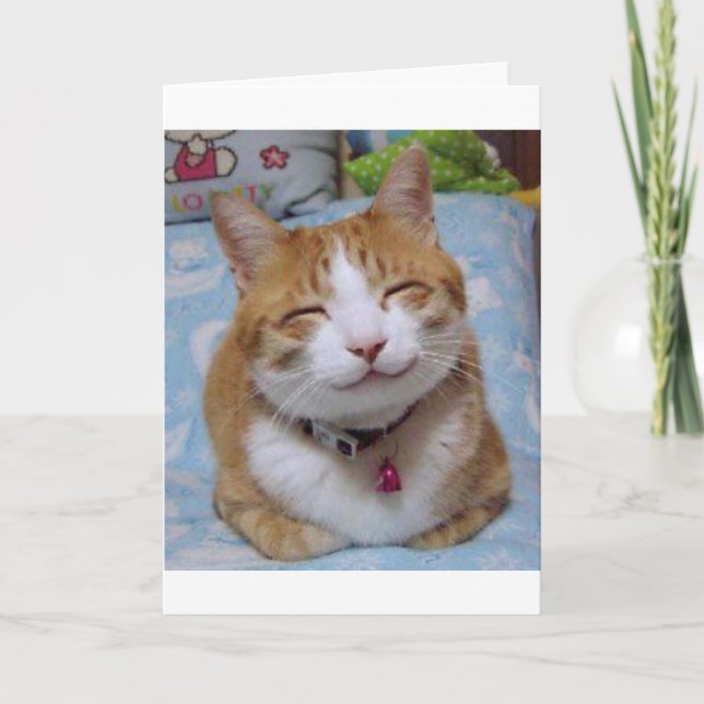 Danke, mit glücklicher Katze zu kardieren Dankeskarte (Vorderseite)