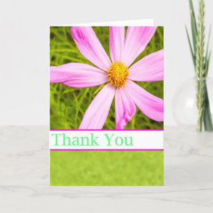 Danke mit rosa Cosmos-Blume